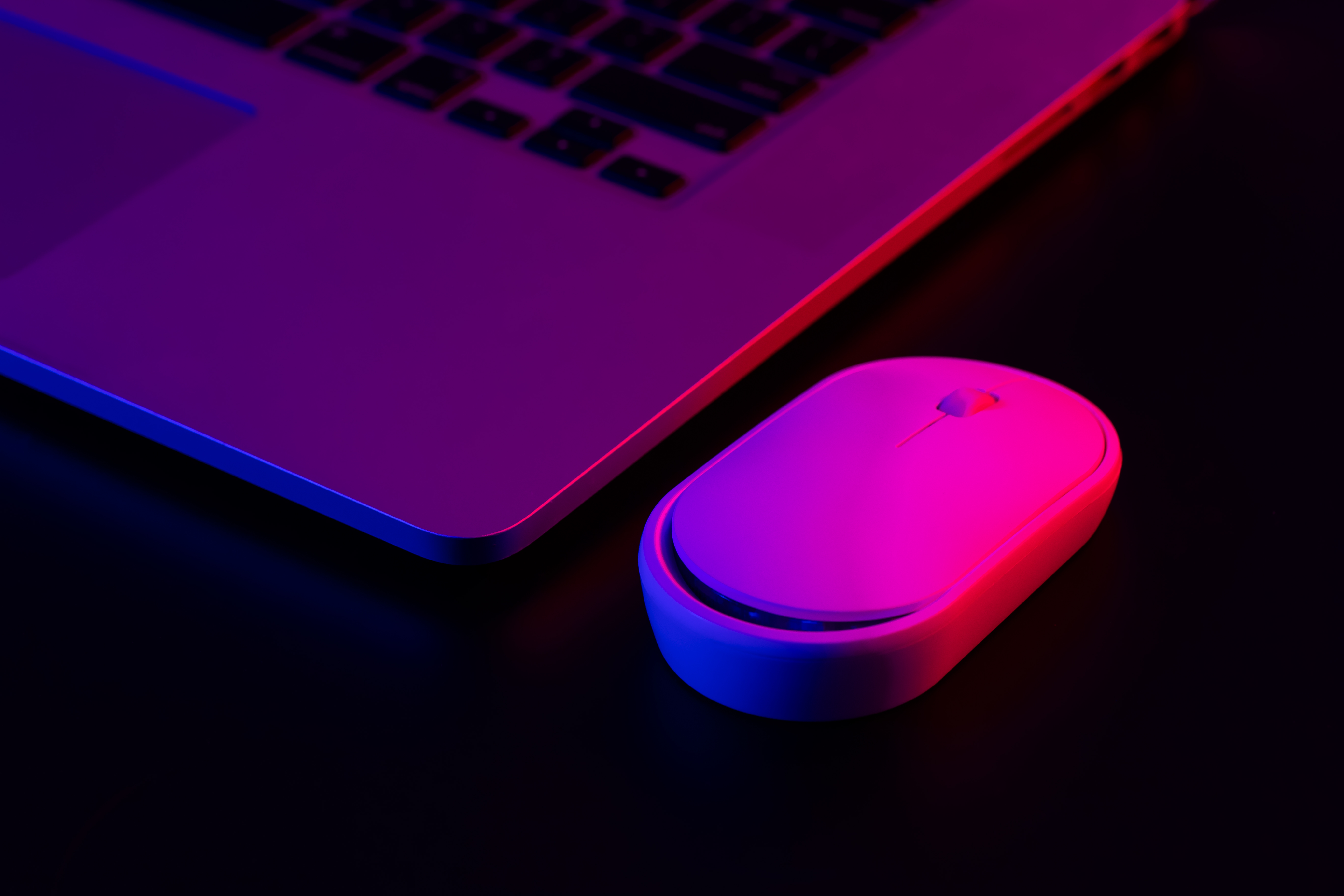 mouse